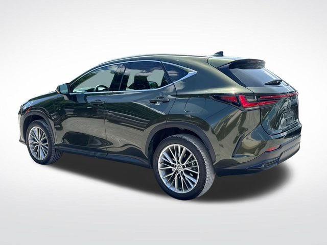 2025 Lexus NX 350 Luxury