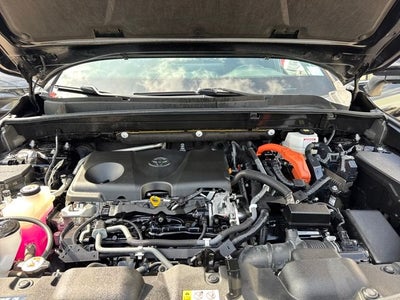 2021 Toyota Venza XLE