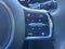 2024 Kia Sorento X-Line SX Prestige